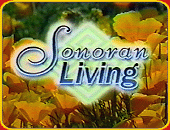 "SONORAN LIVING"