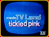 "INSIDE TV LAND TICKLED PINK"