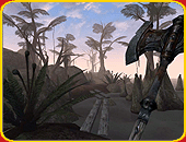 The Elder Scrolls: Morrowind