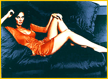 4. Lynda Carter on the couch poster ( 1977 Ron Samuels Enterprises / Pro Arts Inc., Medina, Ohio - Lynda 14-519). 20"x28" (51x71cm).