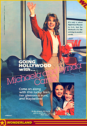 ADVERTISEMENTS -  1983 by Maybelline Co.