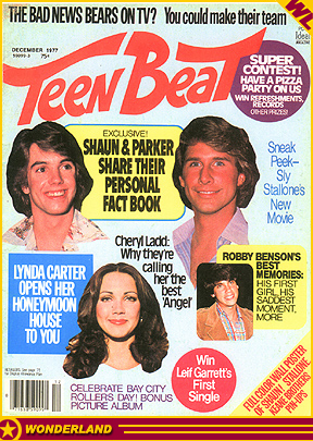 MAGAZINE COVERS -  1977 by Teen Beat / Ideal.