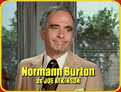 "The Man Who Made Volcanoes" - NORMANN BURTON