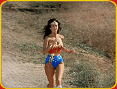 "The New Adventures Of Wonder Woman"